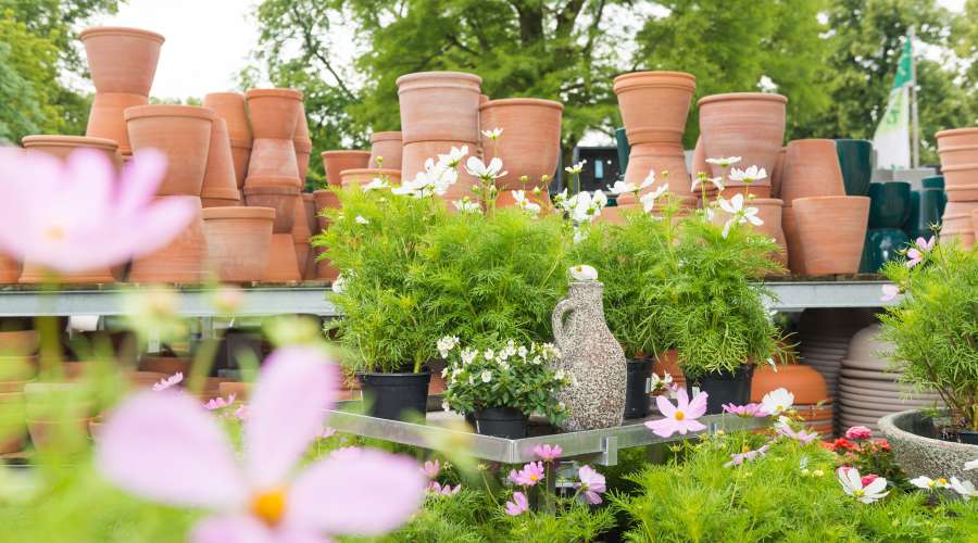 Gartencenter Pluta Gartencenter Berlin Dahlem