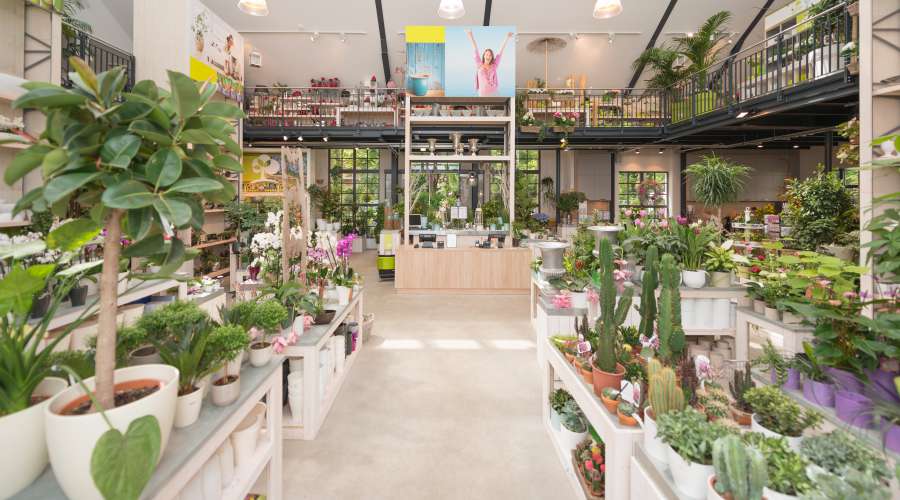 Willkommen Pluta Gartencenter Berlin Dahlem