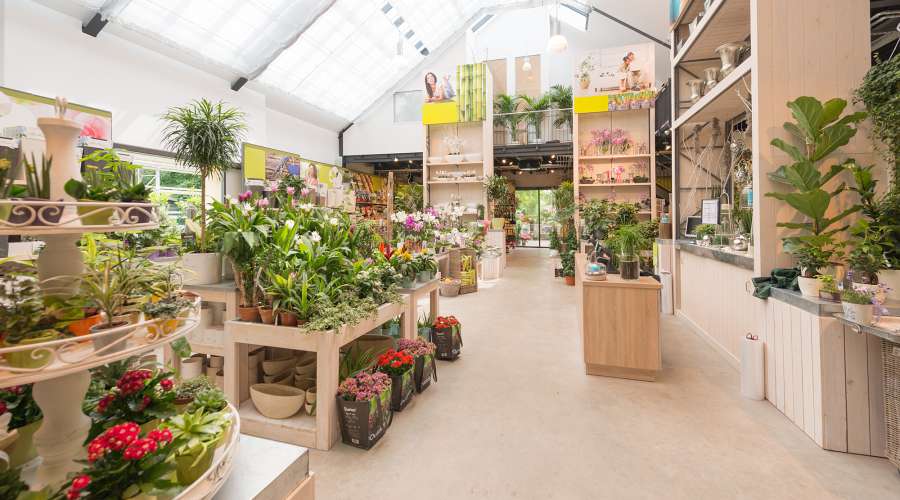 Uber Uns Pluta Gartencenter Berlin Dahlem
