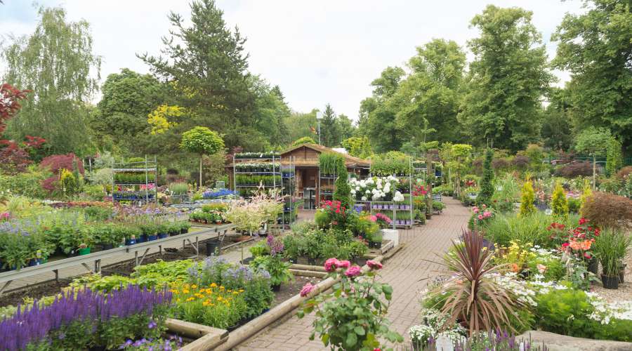 43+ Garten Center Berlin, Mit mehr als 100 jahren erfahrung ist diese