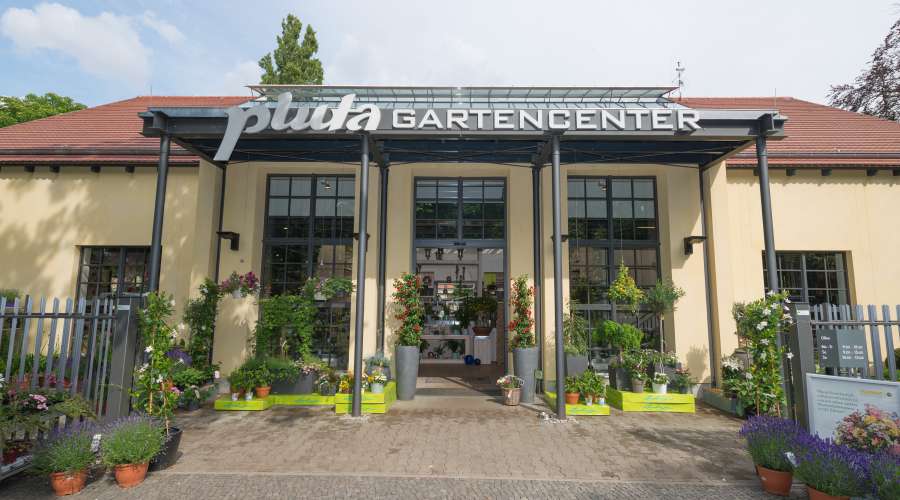 Sortiment Pluta Gartencenter Berlin Dahlem