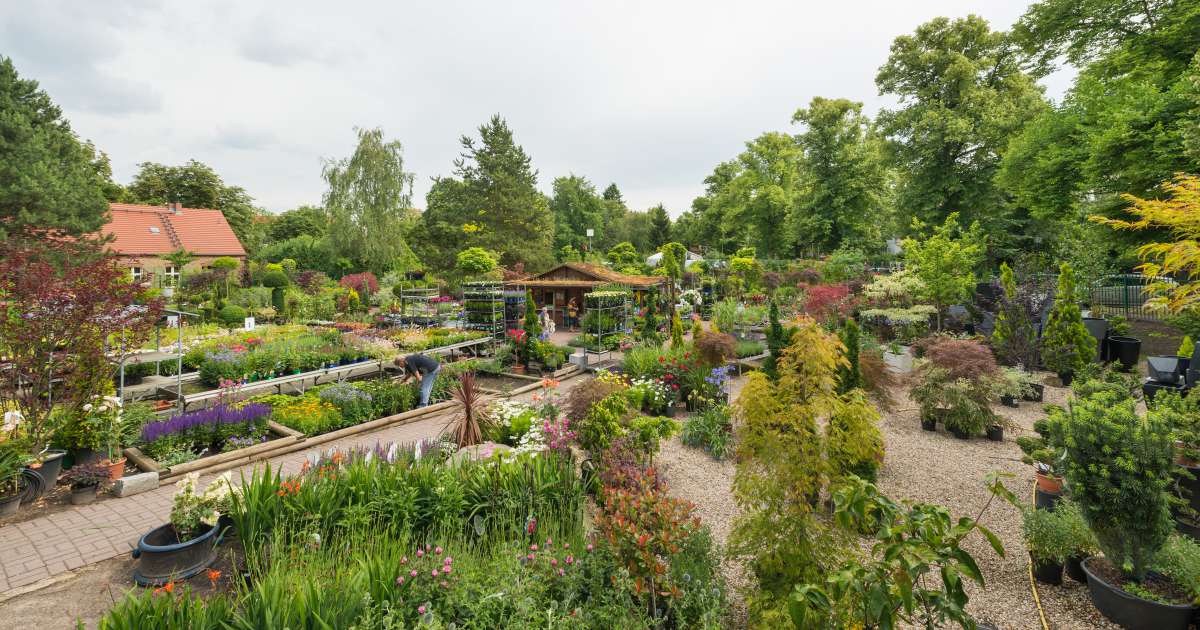 Baumschule Pluta Gartencenter BerlinDahlem